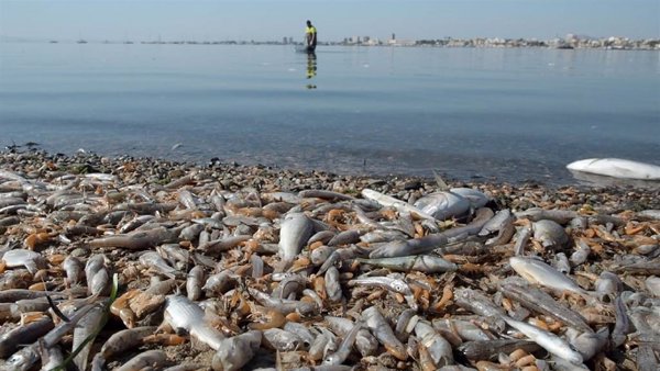 Ecologistas entrega sus 48 'banderas negras' a playas con urbanización en la costa y afectadas por vertidos