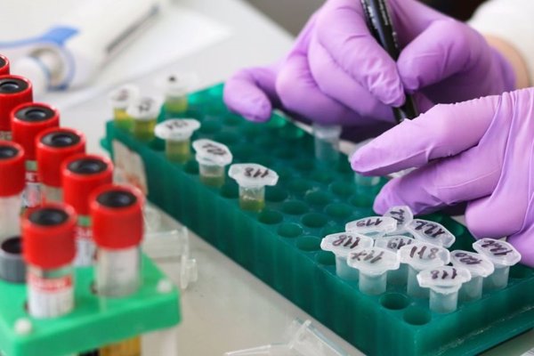 El Consejo Europeo de Investigación destina 721 millones de euros en becas para 281 investigadores de Europa