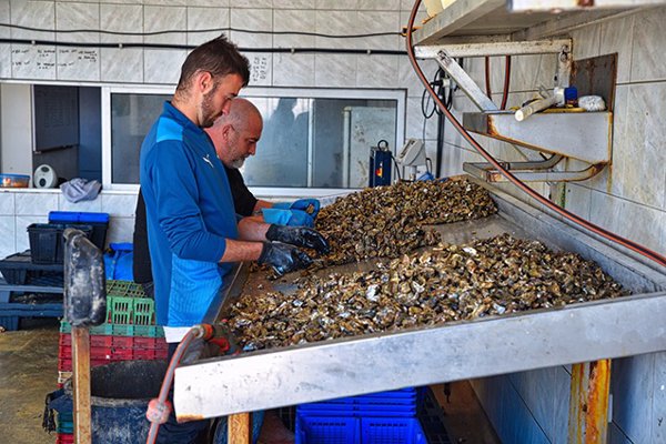 El acuerdo parcial en el Convenio de Productos Elaborados del Mar contempla un alza salarial del 4% en 2025