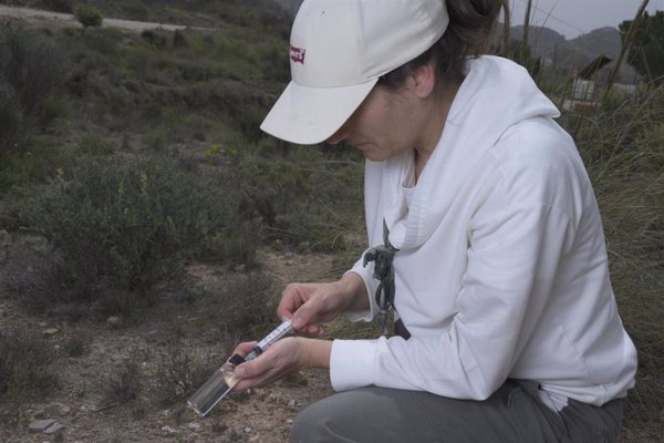 Una investigadora analiza en Petrer (Alicante)