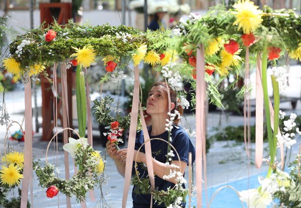 Mil plantas y 40.000 tallos engalanarán el recorrido procesional del Corpus de Toledo tras el trabajo de 80 floristas