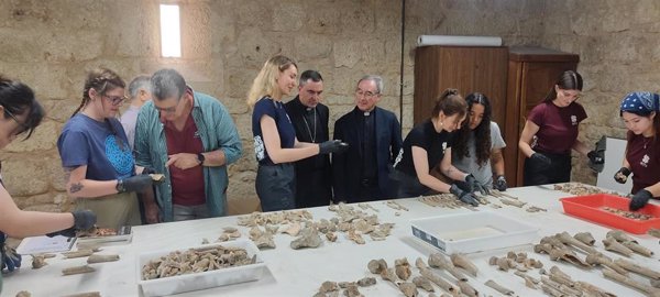 El estudio de huesos hallados en la Catedral de Palencia revelará datos de moradores entre los siglos XII y XV