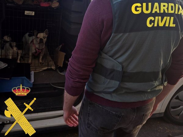 A prisión una mujer ya investigada por la venta reincidente de animales simulando una protectora
