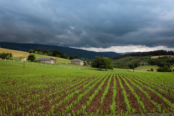 La compraventa de fincas rústicas cae en abril un 4,2%, pero acumula un crecimiento del 5,8% en 2025