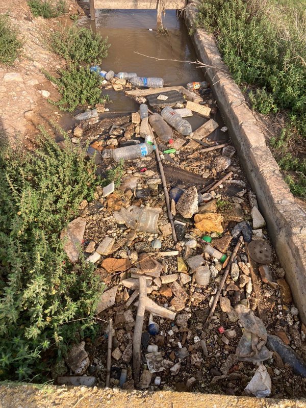 Ecologistas alertan de la reaparición de residuos químicos y sólidos de la dana en el entorno de l'Albufera