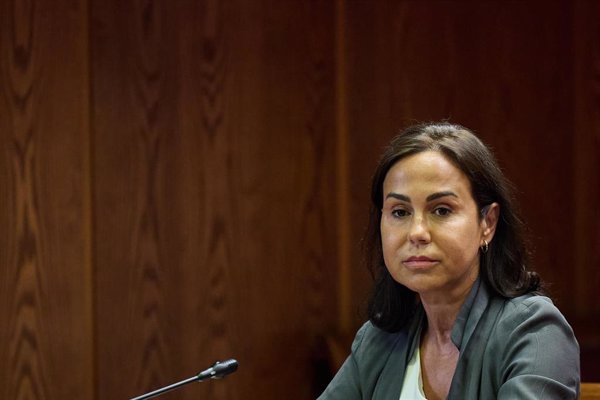 El TS deja en manos de la AN investigar a Pardo de Vera y el exdirector de Carreteras por las