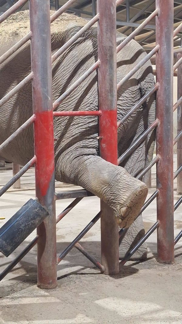 Terra Natura Benidorm realiza entrenamientos 