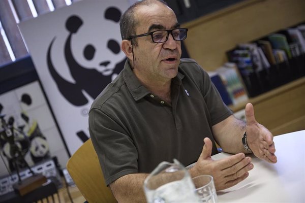 WWF recurrirá a TJUE la caza del lobo si está en estado desfavorable: 