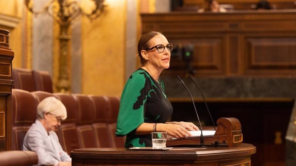 Vox acusa al Gobierno de 