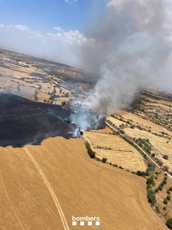 Bombers trabaja en un incendio agrícola en Granyena de Segarra (Lleida)con más de 20 dotaciones