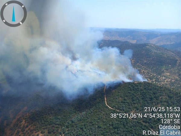 Despliegan una docena de medios aéreos contra un incendio forestal en Villaviciosa de Córdoba