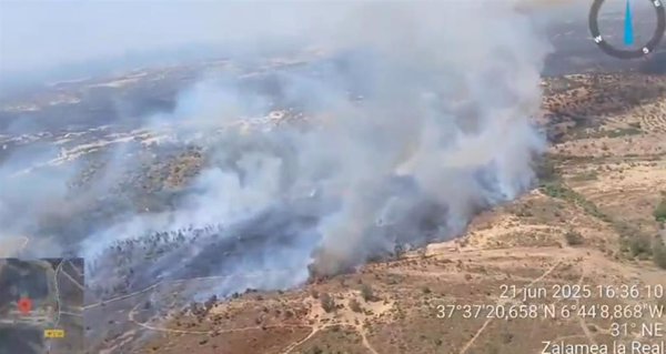 El incendio de Zalamea la Real (Huelva) sigue activo pero sin llamas y pendiente del cierre de su perímetro