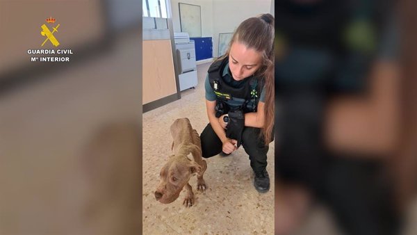 Investigan a una vecina de L'Aldea (Tarragona) por presunto delito de maltrato animal