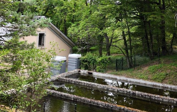 Patrimonio Nacional retoma las visitas guiadas a la piscifactoría de truchas de La Granja de San Ildefonso (Segovia)