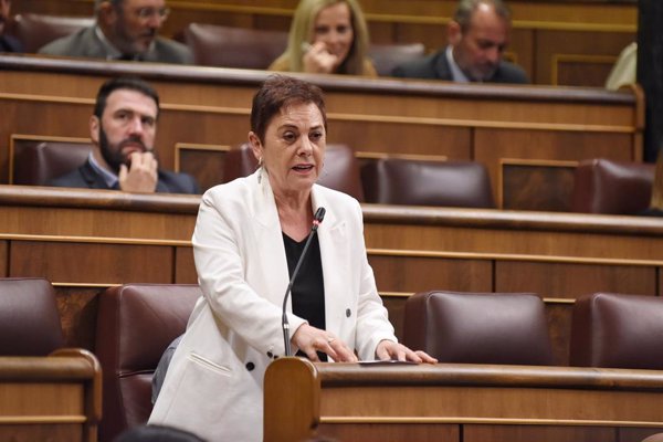 Bildu lleva hoy al Congreso su exigencia para reconocer como víctima al fallecido de los Sanfermines de 1978