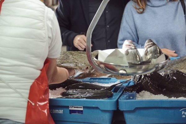 La acuicultura española reclama igualdad normativa para el pescado importado