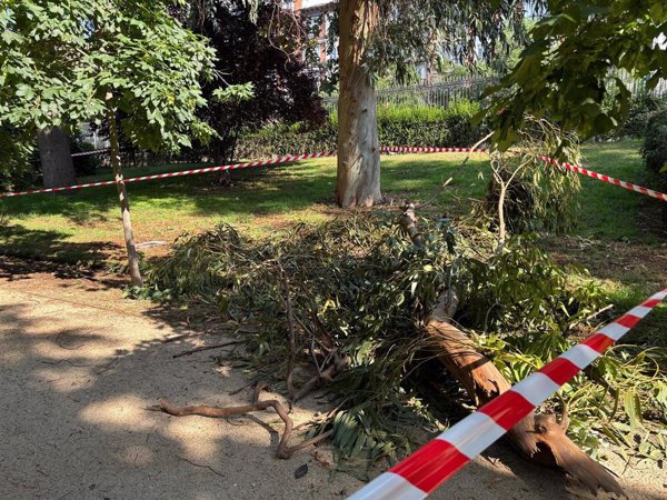 Los bomberos atendieron hasta 120 incidencias por la tormenta del martes en Madrid