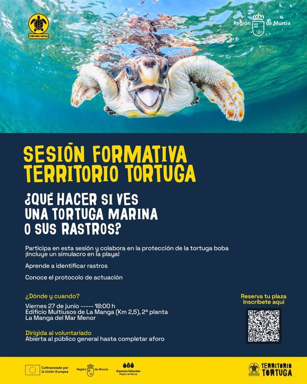 El Gobierno de Murcia impulsa la formación de voluntarios para proteger a la tortuga boba en las costas de la Comunidad