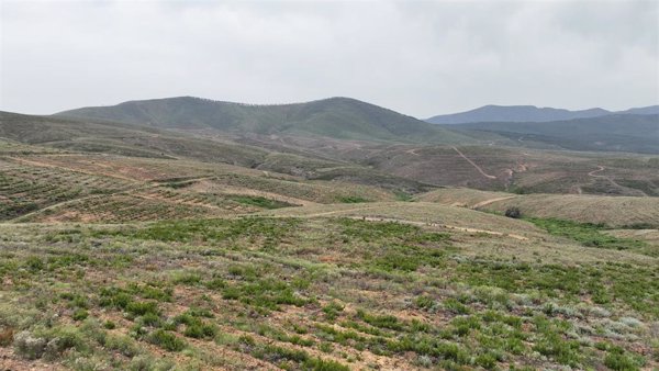 Merlin Properties se alía con Carbon2Nature (Iberdrola) para desarrollar un proyecto de restauración ecológica