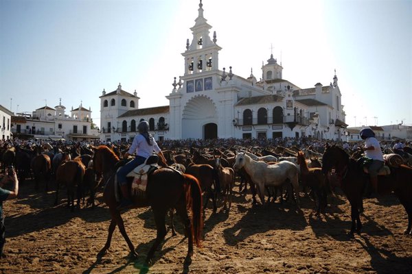 La Junta defiende en la Saca de las Yeguas la ganadería extensiva como
