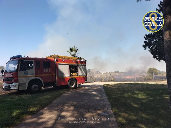 Desalojo preventivo del parque acuático de Sevilla Este por el humo de un incendio de pastos