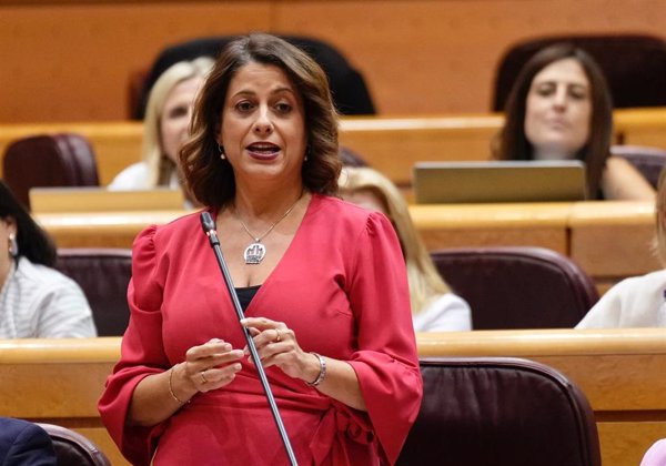 Buj (PP) reprocha al Gobierno de Sánchez su falta de 