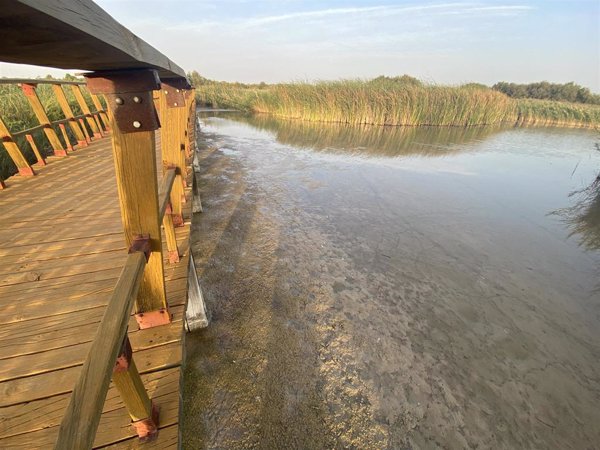 Alianza Verde exige al Gobierno de España medidas para salvar las Tablas de Daimiel