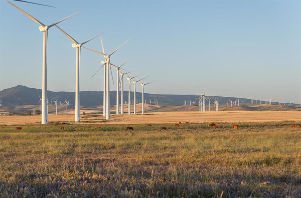 Acciona suscribe una permuta financiera de 100 millones de euros sobre sus acciones en bolsa