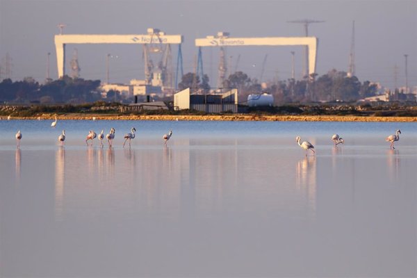 Navantia reduce un 41% su huella de carbono en 2024 frente a 2018 y