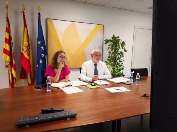 Aragón reitera en la Sectorial de Infancia su rechazo a la reubicación de menores migrantes de Canarias a otras CCAA