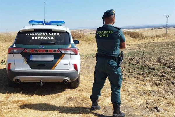 Dos detenidos y 8 investigados por explotar de forma encubierta un coto social de caza en Cáceres