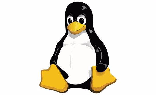 Lyon (Francia) adoptará Linux y un 'software' libre para reducir su dependencia digital de los servicios de Microsoft