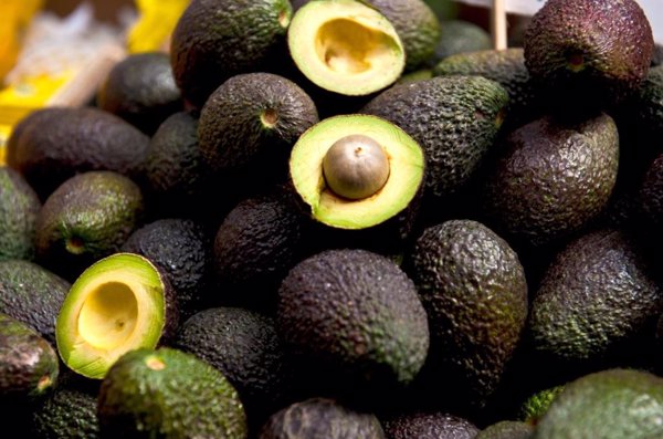 Marruecos fue el principal proveedor de aguacates de España a principios de año y el precio subió un 30%