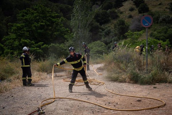 El fuego quema 16.734 hectáreas en España hasta el 22 de junio, un 35,6% menos que en 2024