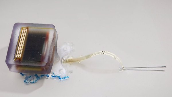 Un dispositivo electrónico implantable restaura el movimiento en animales tras una lesión medular