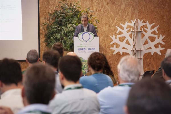 La superficie forestal certificada FSC crece un 14% en España y supera las 846.000 hectáreas