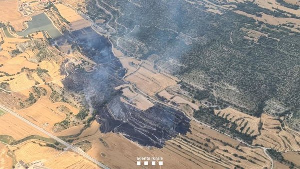 El incendio en Sanaüja (Lleida) afecta a una superficie de 70 hectáreas