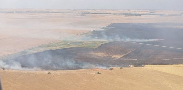 El fuego ya controlado de Malpartida (Salamanca) calcinó 168 hectáreas en tres horas