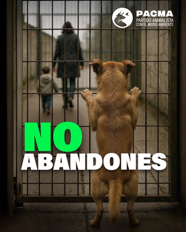 PACMA lanza la campaña 'No me abandones' para combatir el abandono de animales en verano