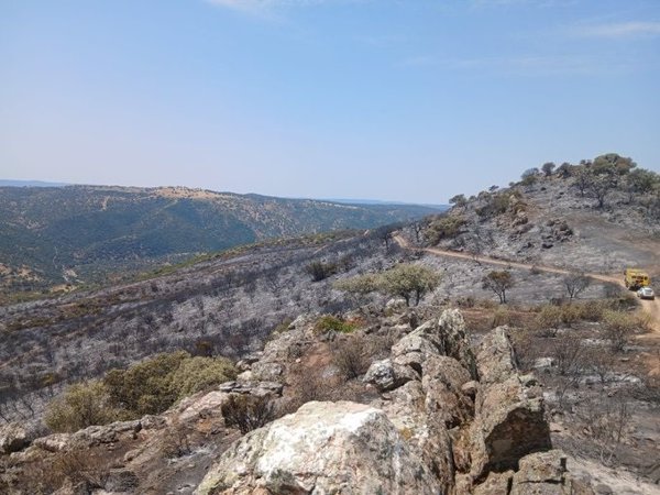 Extinguido y pendiente de medición el incendio de la Sierra de Andújar (Jaén)