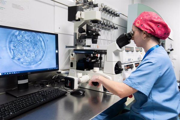 La edad materna avanzada no afecta a los resultados reproductivos si se transfieren embriones genéticamente normales
