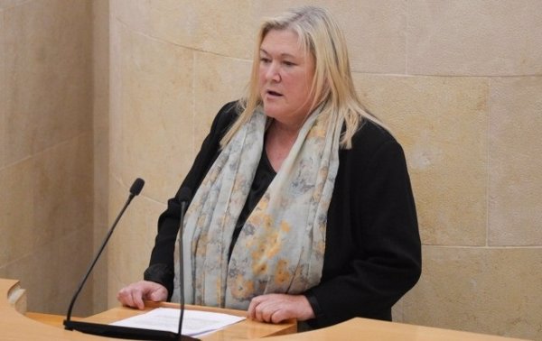 PP Cantabria cuestiona críticas de PRC porque sus exsocios de PSOE recurran desde el Defensor devolver el lobo al LESPRE