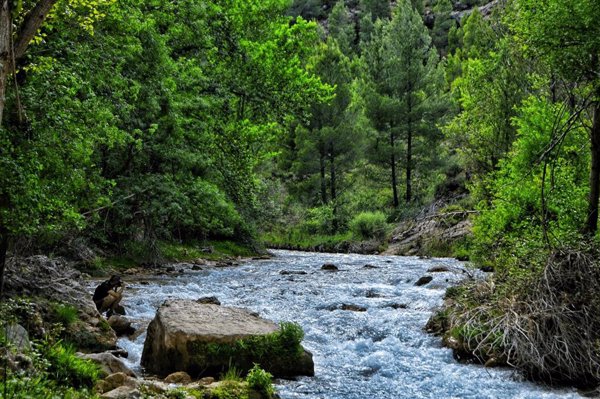 Bruselas plantea incentivos para empresas que inviertan en acciones positivas para la naturaleza