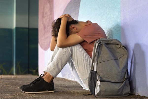 Educación inicia la tramitación de un decreto para prevenir y erradicar el acoso escolar
