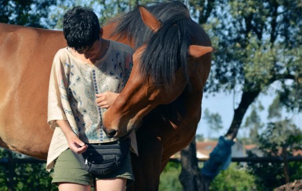 Rusticae amplía su red de alojamientos con encanto con seis nuevas incorporaciones en España y Portugal