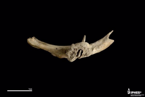 Hallan una flecha incrustada en una costilla humana de hace más de 4.000 años en Queralbs (Girona)