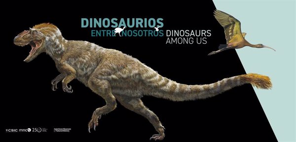 El MNCN inaugura 'Dinosaurios entre nosotros', una exposición bilingüe sobre la evolución de las aves