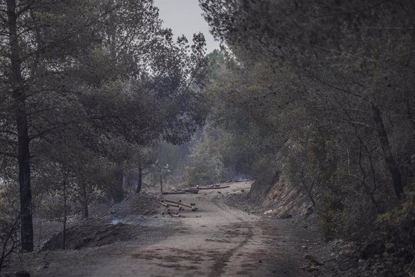 El incendio de Paüls (Tarragona) se mantiene estable este jueves por la mañana