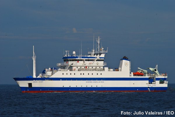 El Gobierno inicia una campaña para analizar el ecosistema pelágico del Mediterráneo