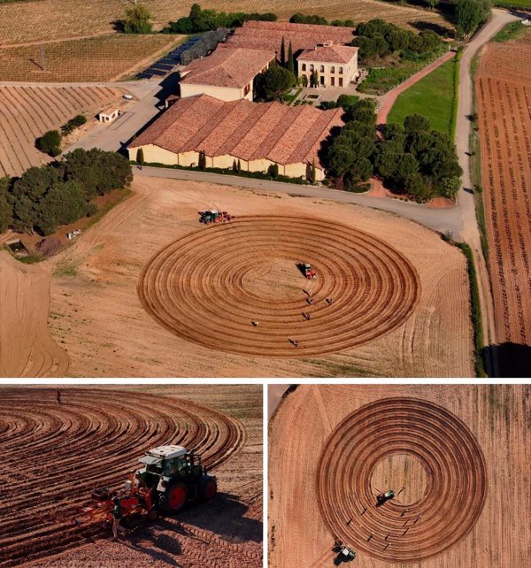 La Rioja Alta, S.A. invierte en sus viñedos para combatir el cambio climático y elaborar vinos de calidad
